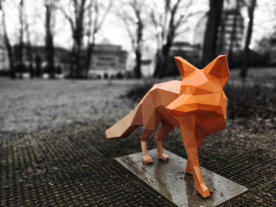 fox, 03/2020  @Oslo - © PC