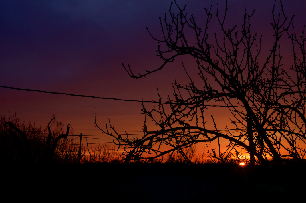 sunset #2, 01/2021 @Rovarè - © PC